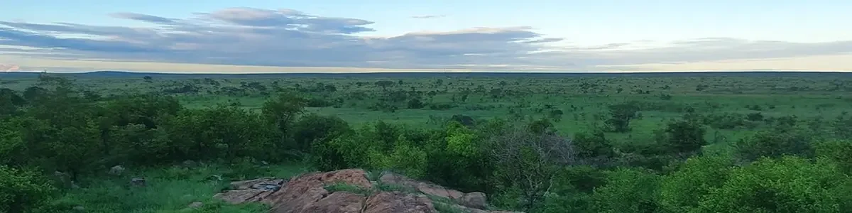 Advanced-Wilderness-Training-African-Wilderness-Institute-land.fw